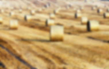 Image showing agriculture, not in focus