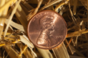 Image showing coin in the straw