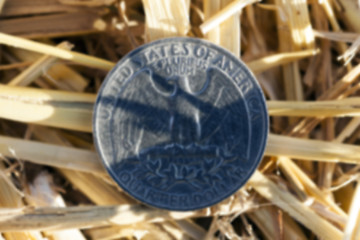 Image showing coin in the straw