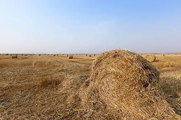 Image showing stack of straw in the field