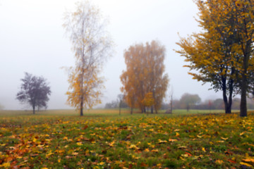 Image showing Autumn Park, overcast