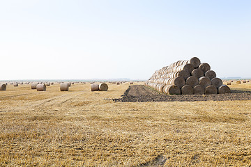 Image showing stack of straw in the field