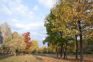 Image showing autumn in the park