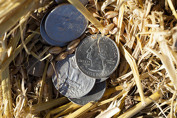 Image showing coin in the straw