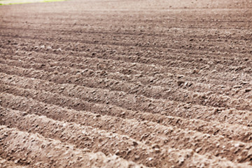 Image showing plowed field, furrows