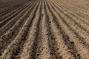 Image showing plowed land, furrows