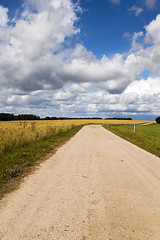 Image showing small country road