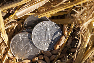 Image showing coin in the straw