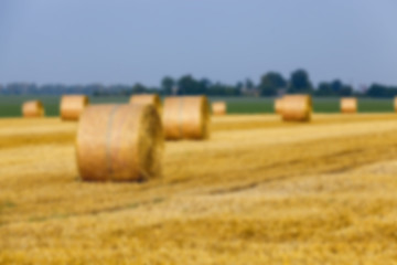 Image showing haystacks in a field of straw