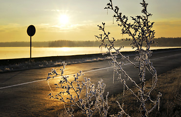 Image showing Autumn Dawn frosty road, fog over the lake and grass covered with frost