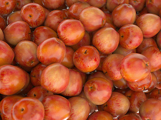 Image showing Close-up of many Red ripe apples