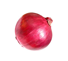 Image showing red onion isolated