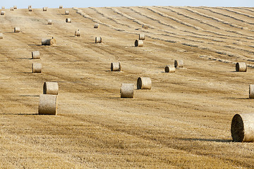 Image showing stack of straw in the field