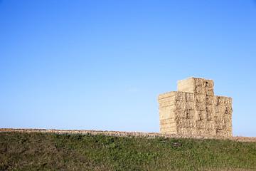 Image showing stack of wheat straw