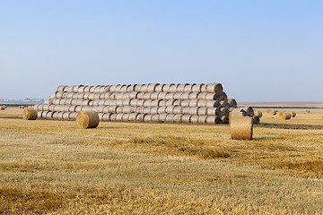 Image showing stack of straw in the field