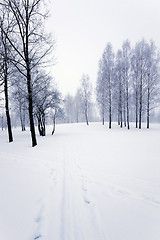 Image showing winter road , track.