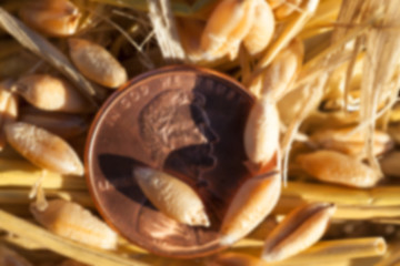 Image showing coin in the straw