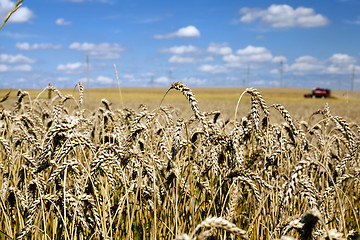 Image showing Photo agriculture, Europe