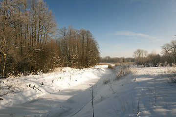 Image showing park in winter