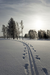 Image showing winter road , track.