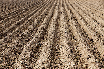 Image showing plowed land, furrows