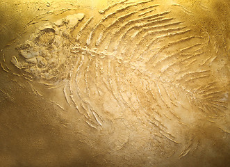Image showing Giant fish fossils