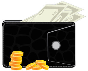 Image showing Purse with money