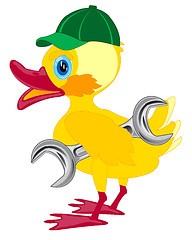 Image showing Duckling in cap and with key