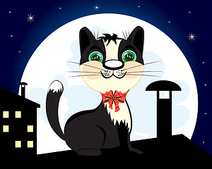 Image showing Cat on roof in the night