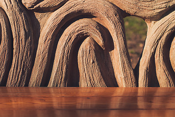 Image showing Wooden bench in the summer park. Closeup