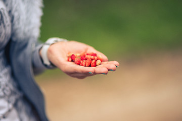 Image showing female hand holding a strawberry against blurred green background