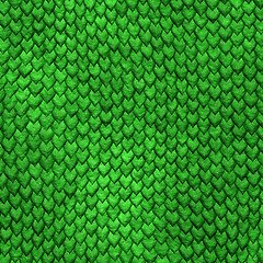 Image showing dragonskin