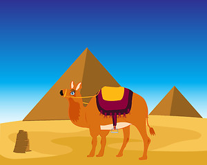 Image showing Camel and pyramids