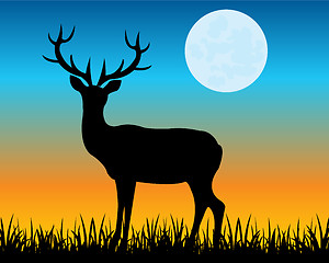 Image showing Silhouette of the deer on glade
