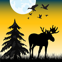 Image showing Moose on glade