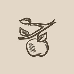 Image showing Apple harvest sketch icon.