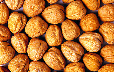 Image showing Background of ripe brown hazelnuts