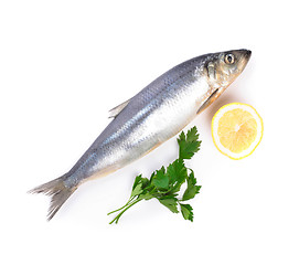 Image showing fish with lemon and parsley