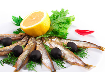 Image showing anchovies on white background