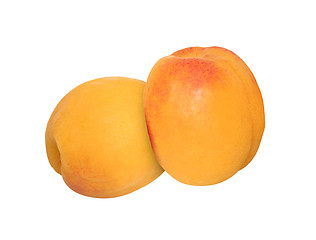 Image showing Apricots isolated on a white background