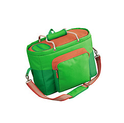 Image showing green cooler bag with carrying strap isolated