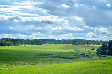 Image showing beautiful summer landscape 