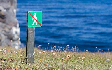 Image showing Forbidden to walk over here - Iceland