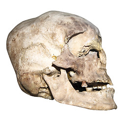 Image showing old human skull