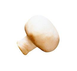 Image showing Champignon