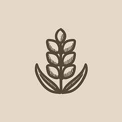 Image showing Wheat sketch icon.