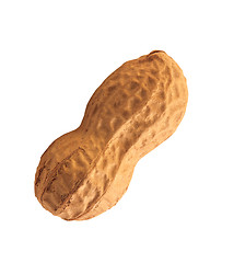 Image showing Peanuts isolated