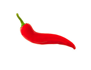 Image showing red hot chili pepper isolated on a white background