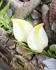 Image showing Cloves of garlic