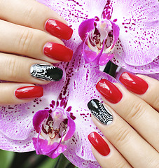 Image showing Beautifully manicured fingernails